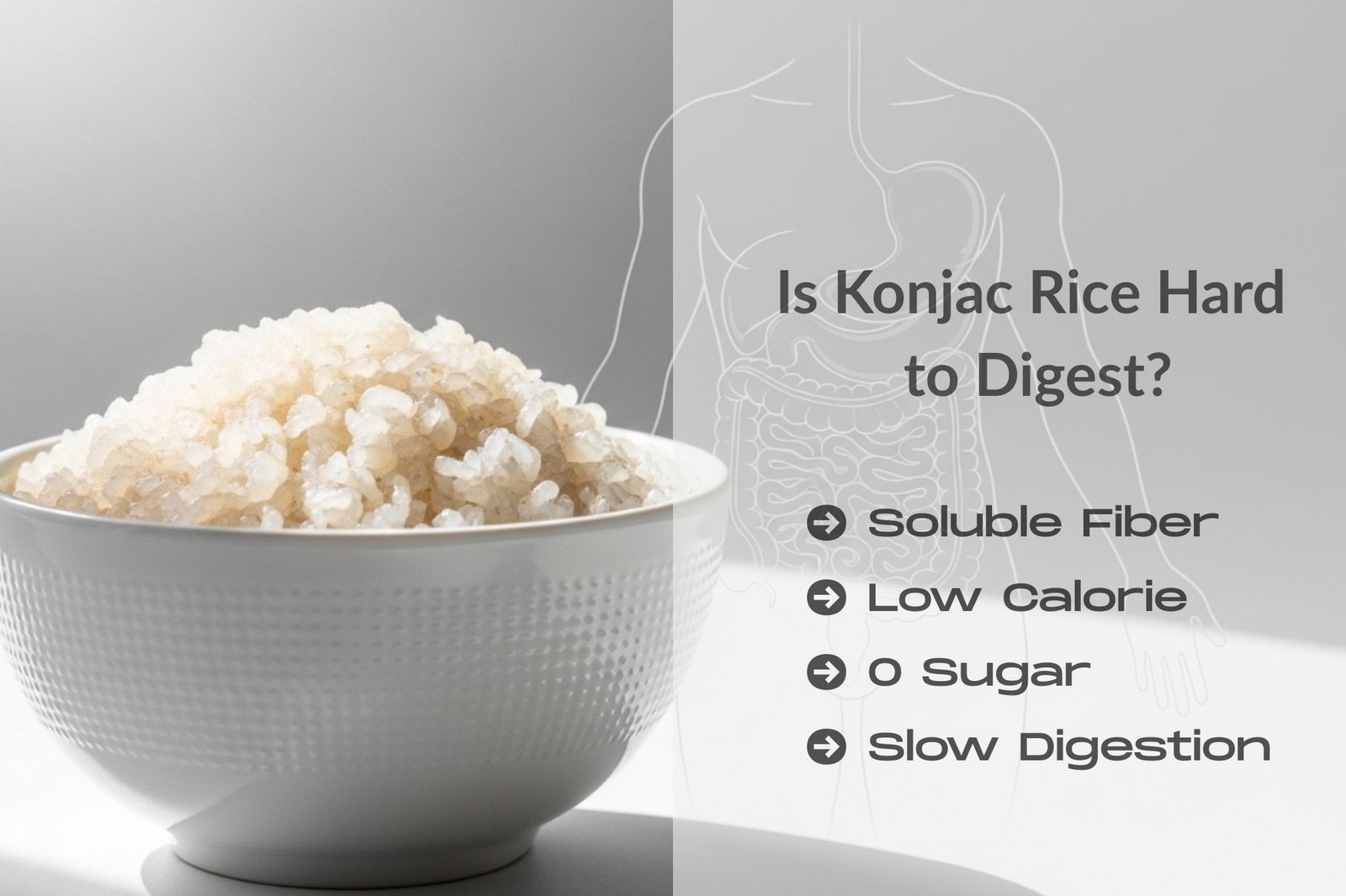White bowl of konjac rice with digestive system illustration background representing fiber digestion.