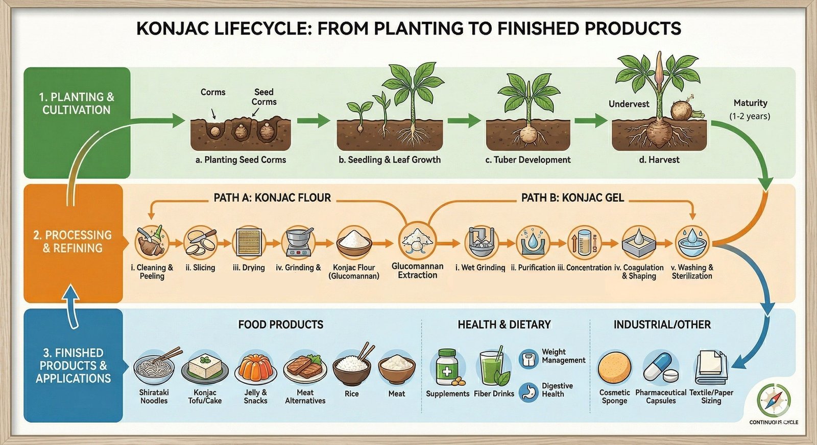 Konjac dietary fiber production process from farm to finished food products