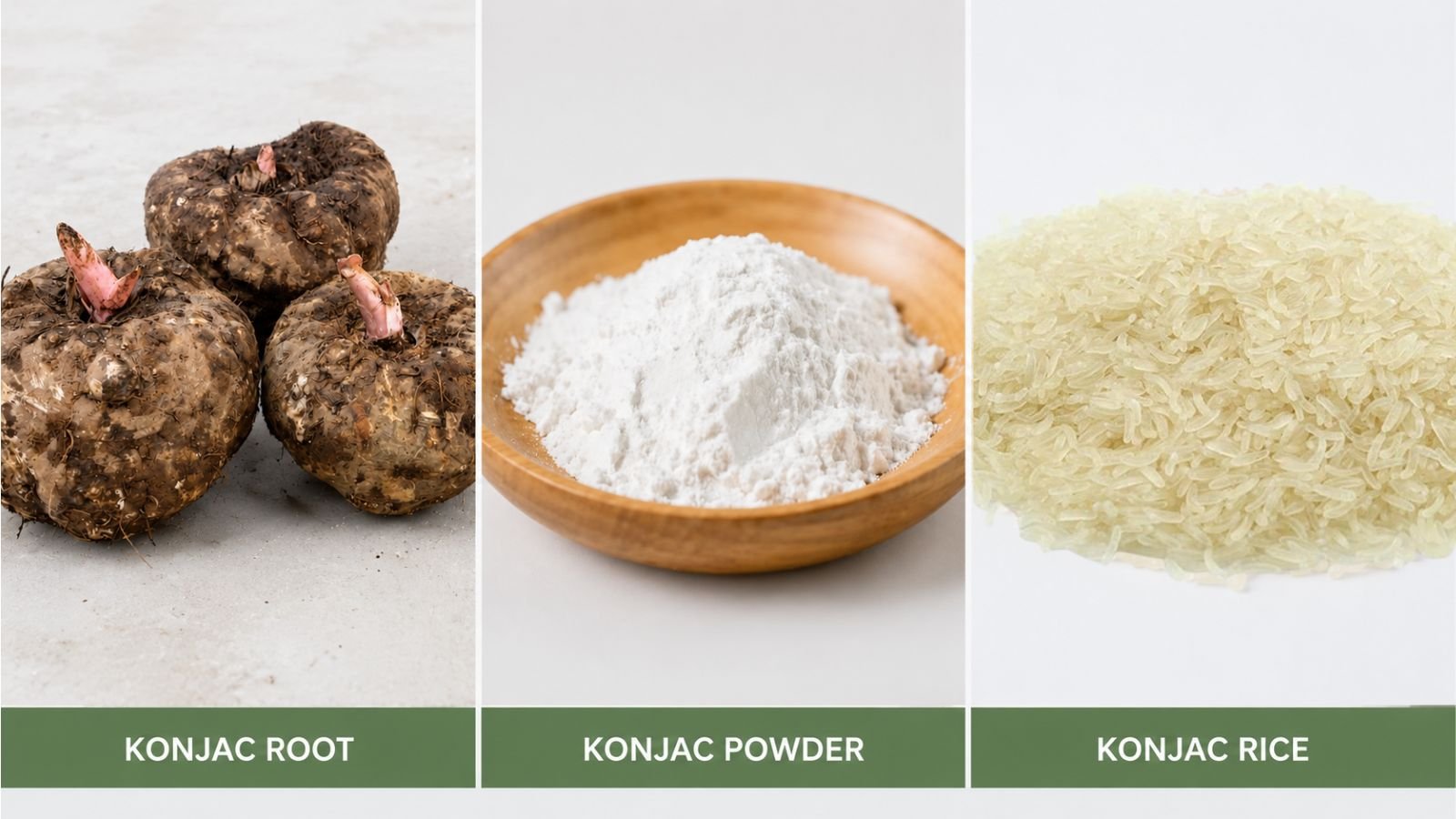 konjac root and konjac rice side by side