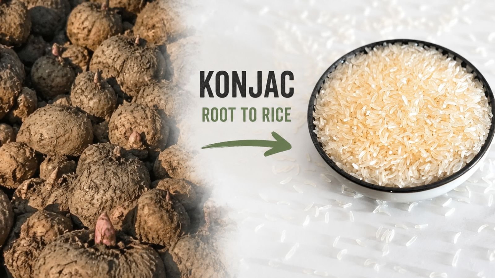 konjac plant root and rice